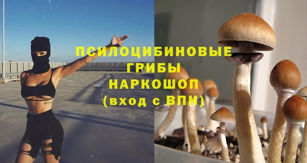 винт Богданович